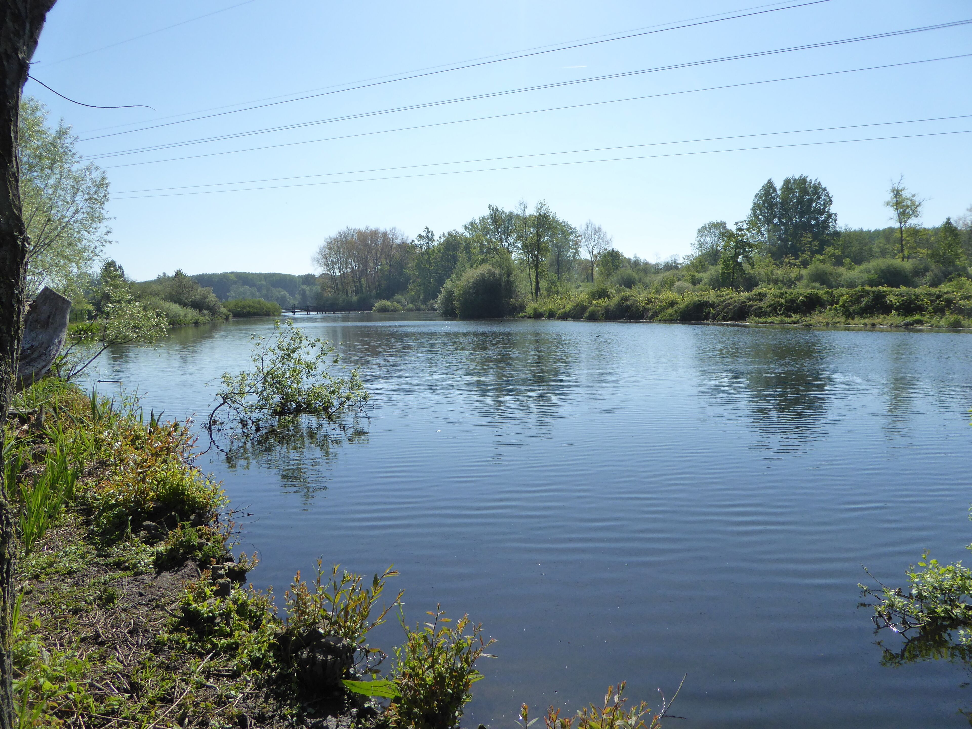 A calm river with trees and bushes along the banks.