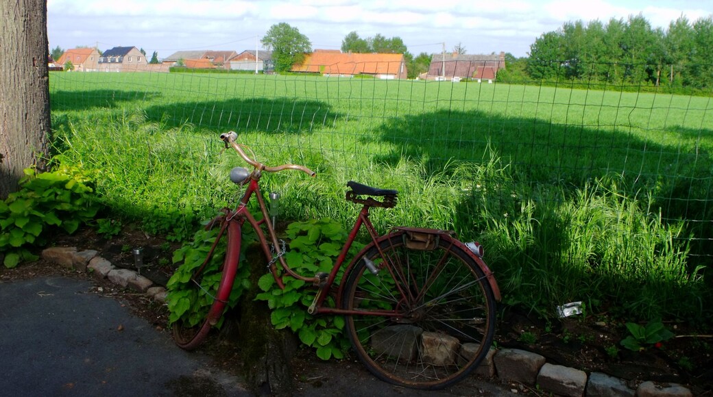 Village bicycle...