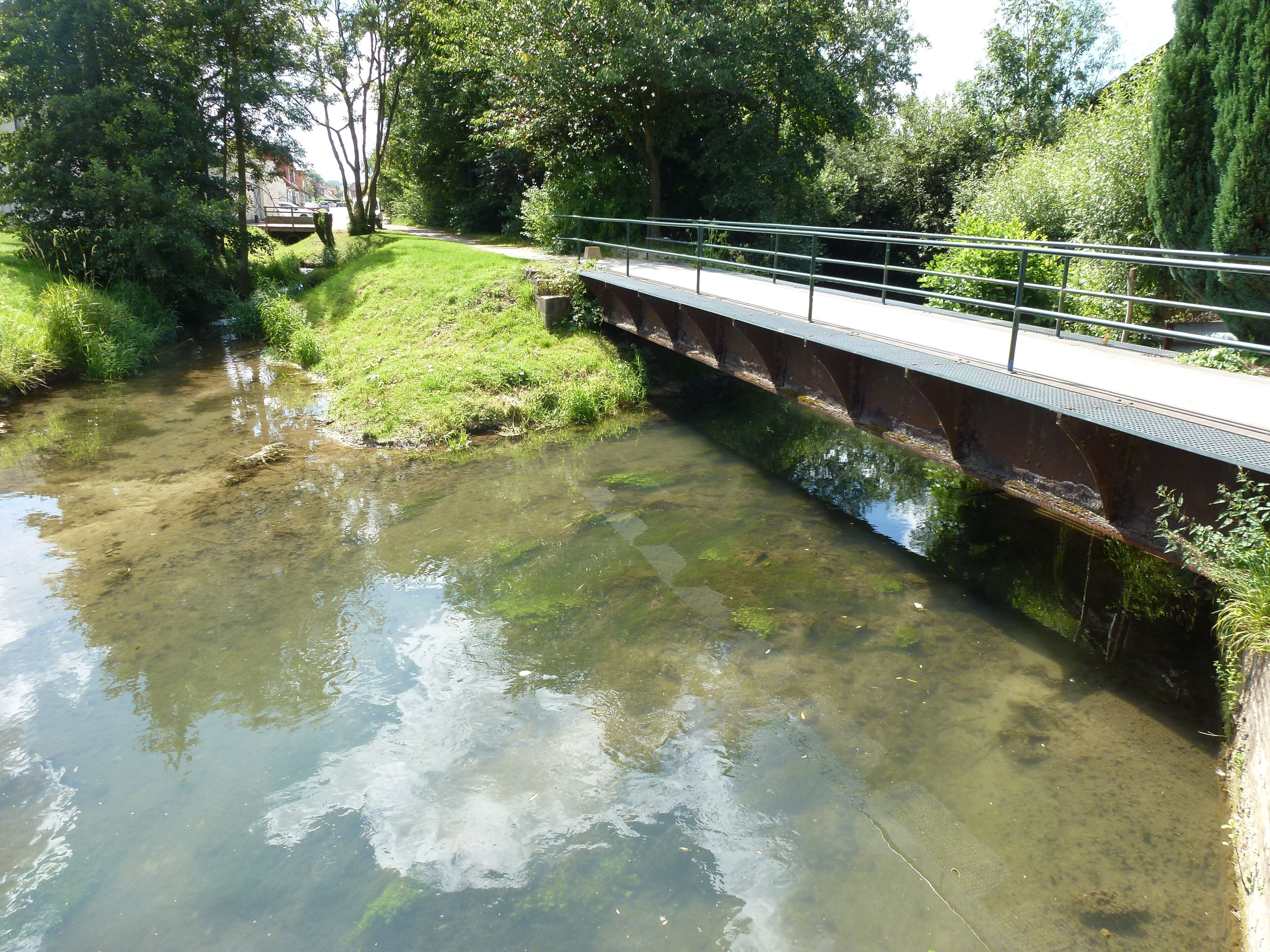 A bridge over a clear stream with surrounding greenery and trees.