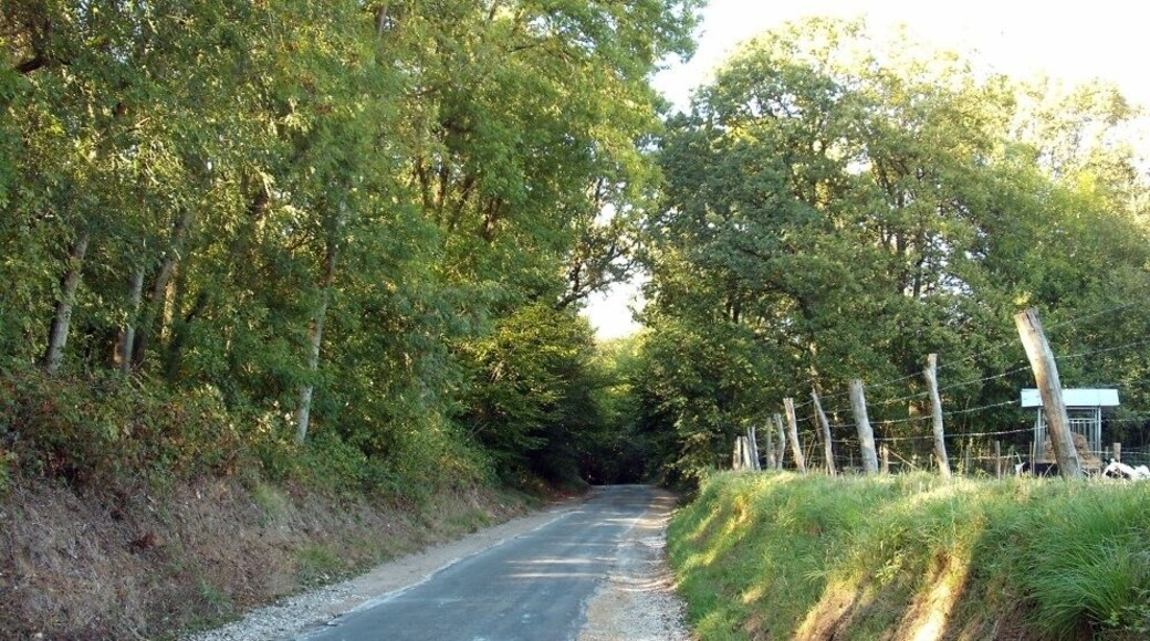 Esquerdes - Route de Wisques