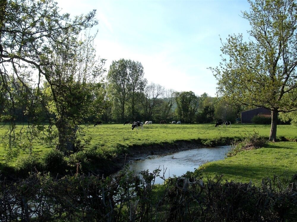 A rural landscape with a stream, grazing sheep, and trees.