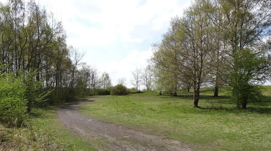 Terril n° 28 dit Fontenelle, centrale thermique de Gosnay de la Compagnie des mines de Bruay dans le bassin minier du Nord-Pas-de-Calais, Fouquereuil, Pas-de-Calais, Nord-Pas-de-Calais, France.