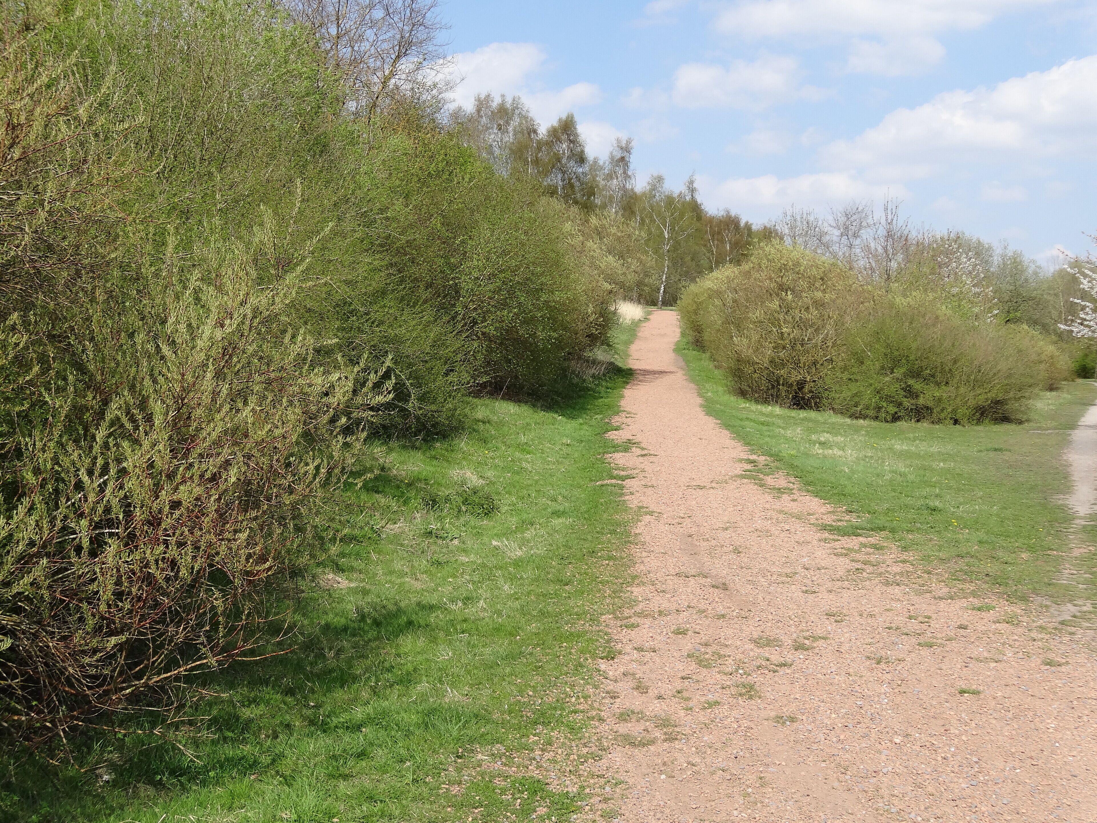 Terril n° 28 dit Fontenelle, centrale thermique de Gosnay de la Compagnie des mines de Bruay dans le bassin minier du Nord-Pas-de-Calais, Fouquereuil, Pas-de-Calais, Nord-Pas-de-Calais, France.