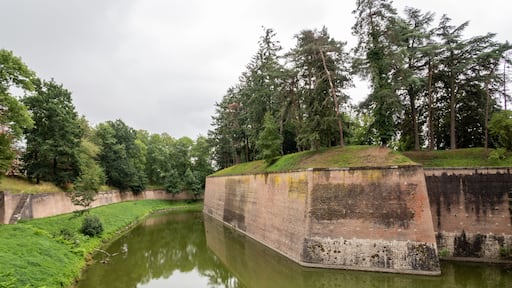 Une construction en briques, dotée d’un fossé et entourée d’une végétation luxuriante et d’arbres denses.
