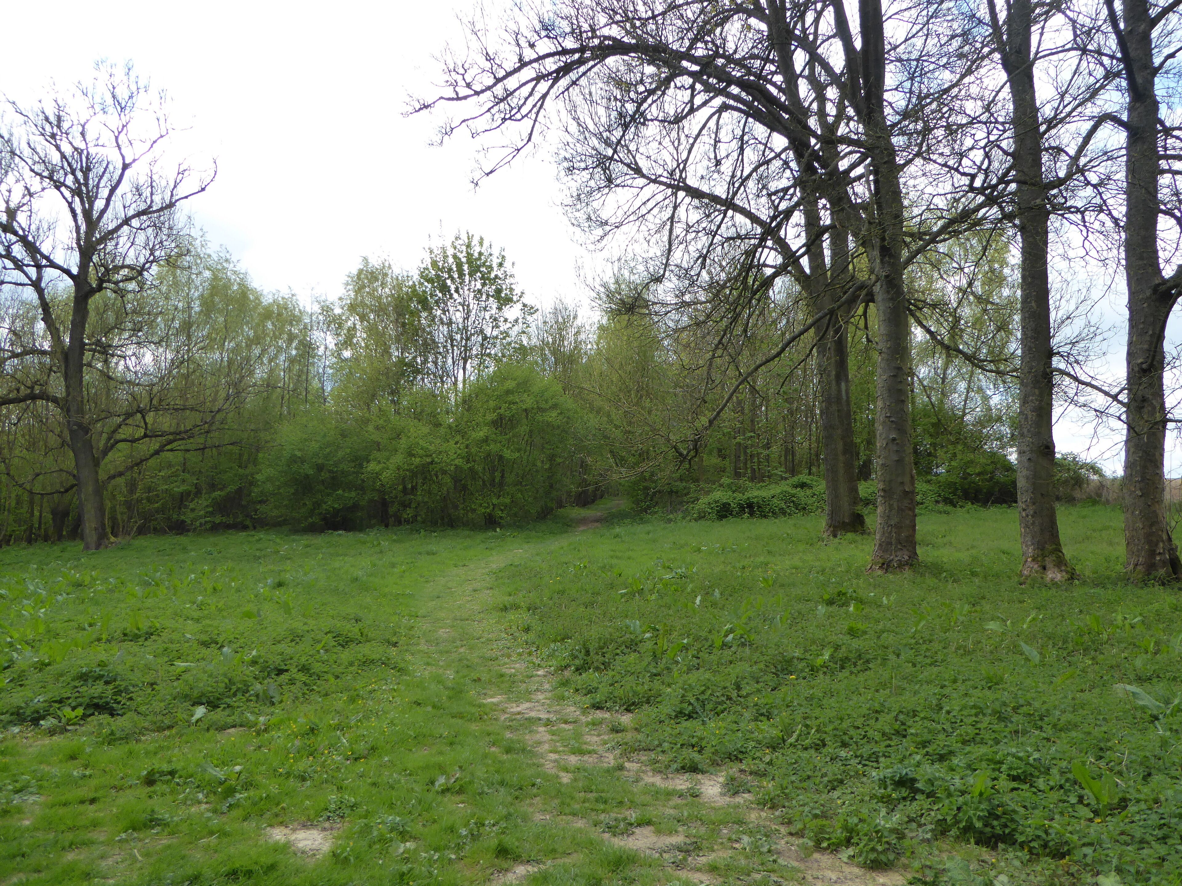 Le bois Poret de Villers-au-Bois Pas-de-Calais.-Hauts-de- France