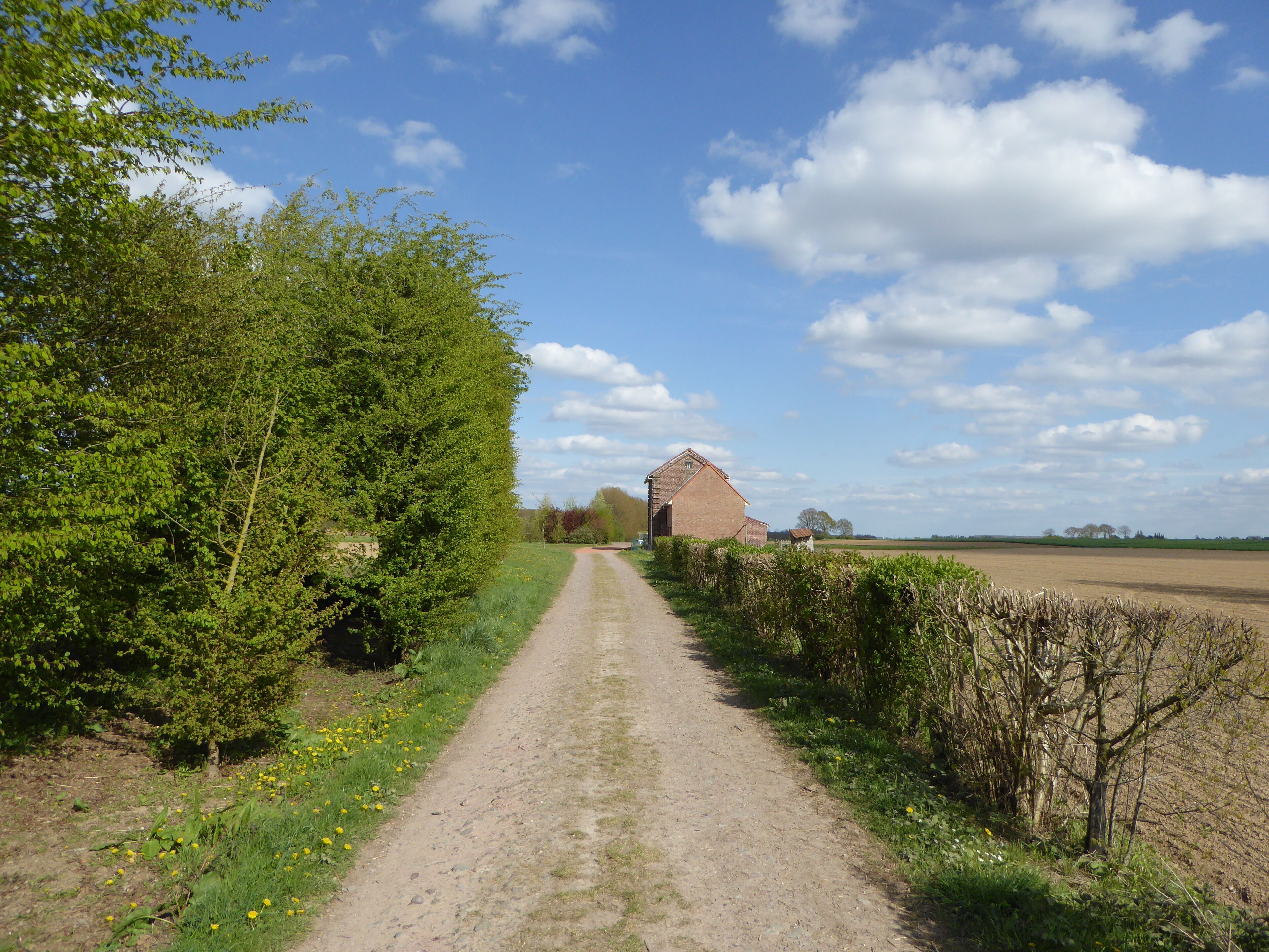 A rural path leading to a brick barn surrounded by lush greenery and fields.