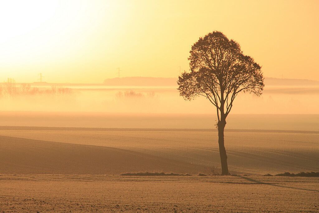 500px provided description: misty freezy sunrise [#popular ,#upcoming ,#Artois ,#OliBac ,#MMxIII]