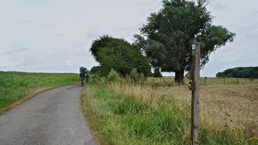 Sur le GR121 autour de Monchy-le-Preux Pas-de-Calais Nord-Pas-de-Calais-Picardie