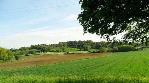 Paisaje rural con colinas onduladas, campos y un pueblo a lo lejos.