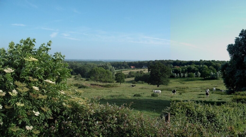 La basse ville - Wulverdinghe