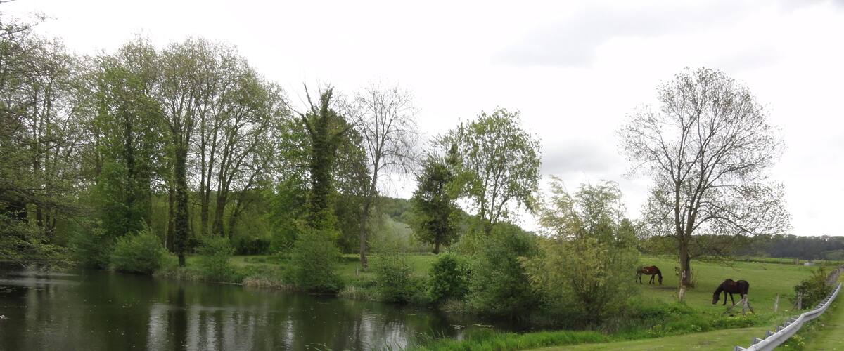 A river with horses grazing on the opposite bank, surrounded by trees and grass.