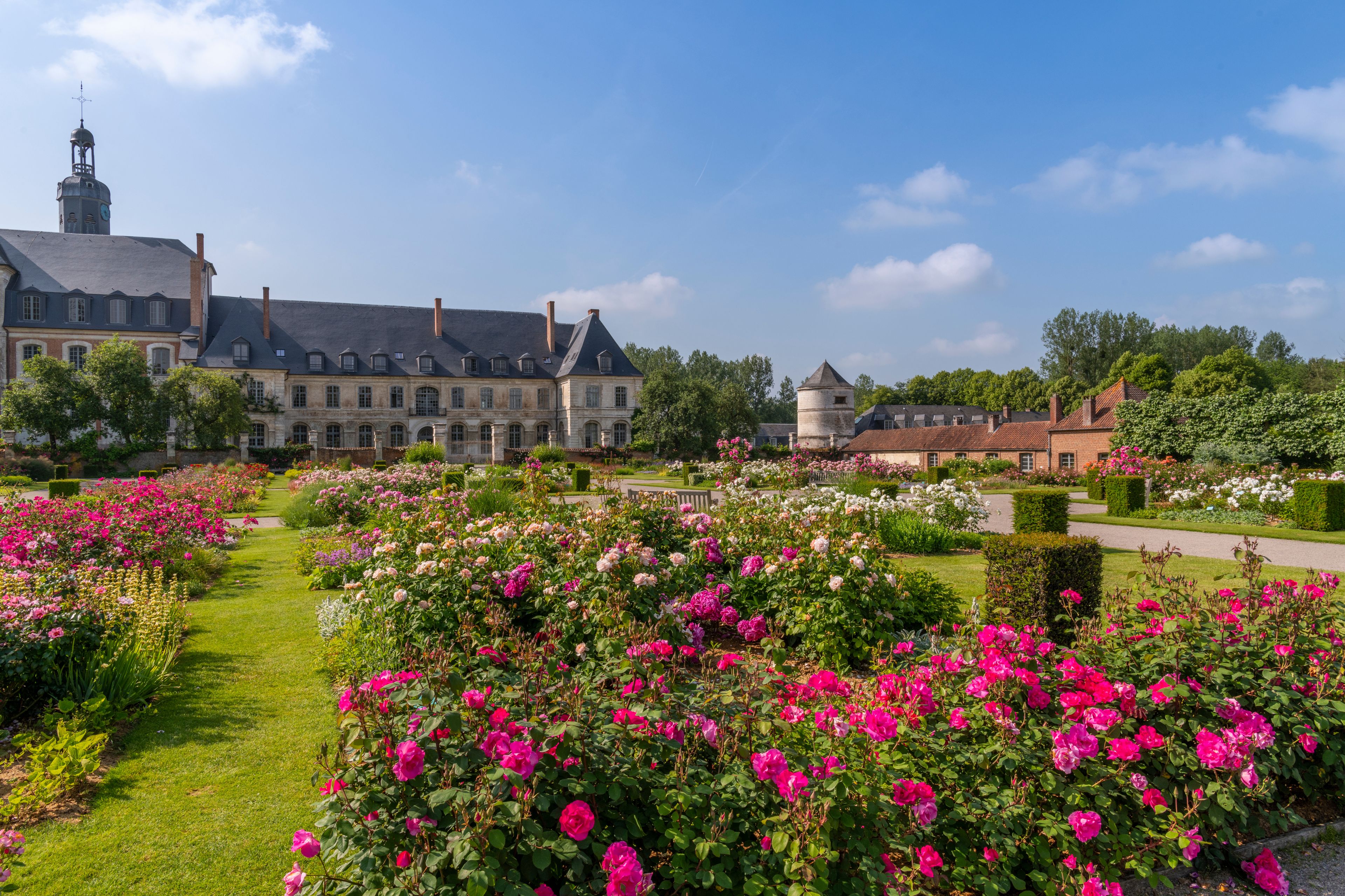 A historic building with a clock tower, surrounded by a well-maintained garden with vibrant pink roses.