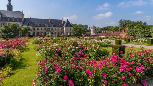 A historic building with a clock tower, surrounded by a well-maintained garden with vibrant pink roses.