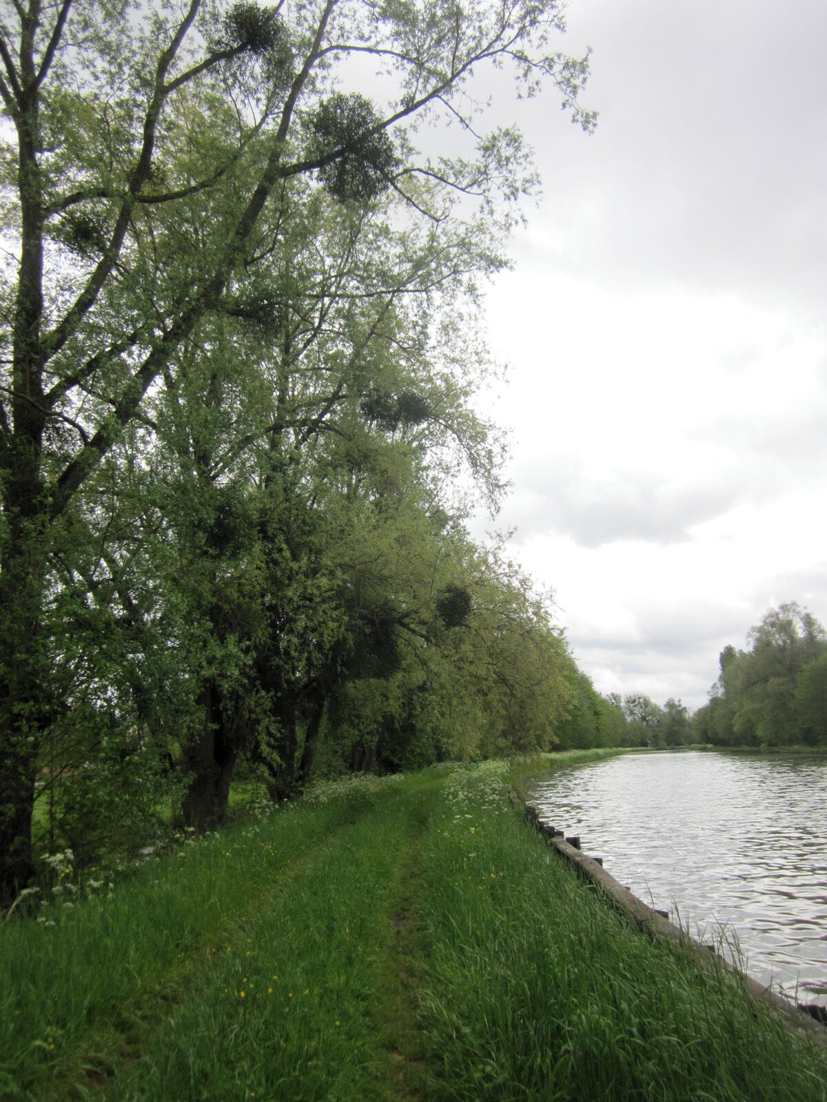 Canal de Saint-Quentin near Saint Simon