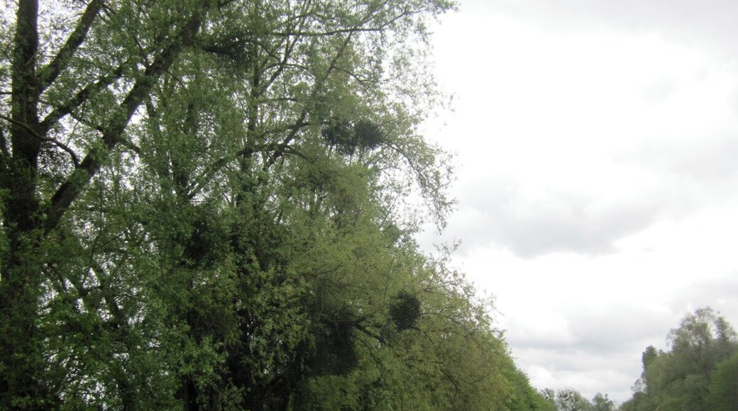Canal de Saint-Quentin near Saint Simon