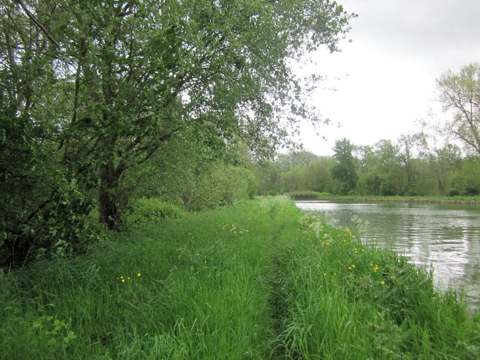 Canal de Saint-Quentin near Saint Simon