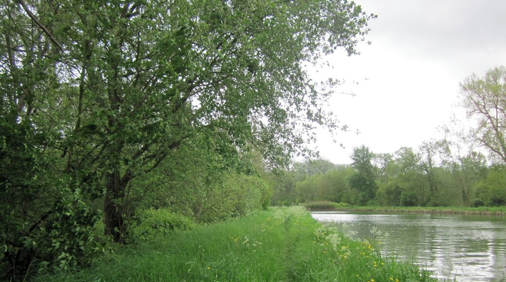 Canal de Saint-Quentin near Saint Simon