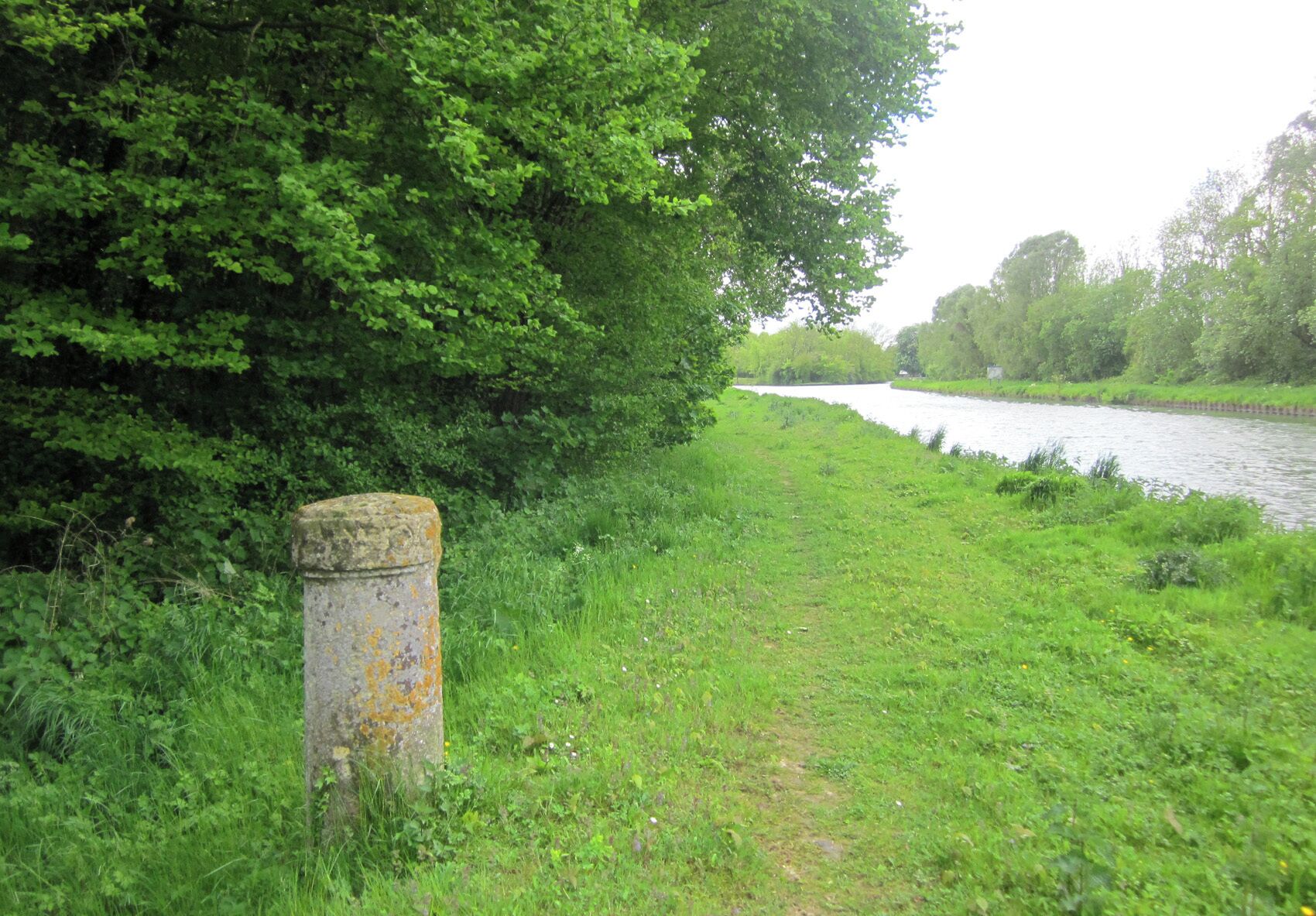 A riverbank with lush greenery and a stone marker.