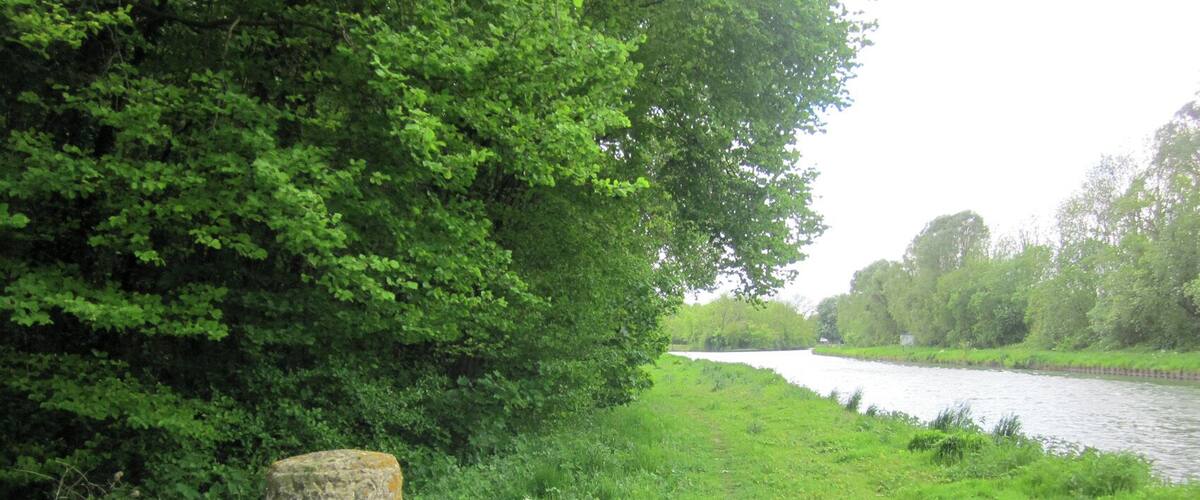 A riverbank with lush greenery and a stone marker.