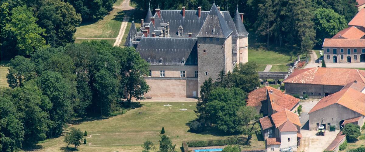 A castle surrounded by lush greenery and smaller houses.