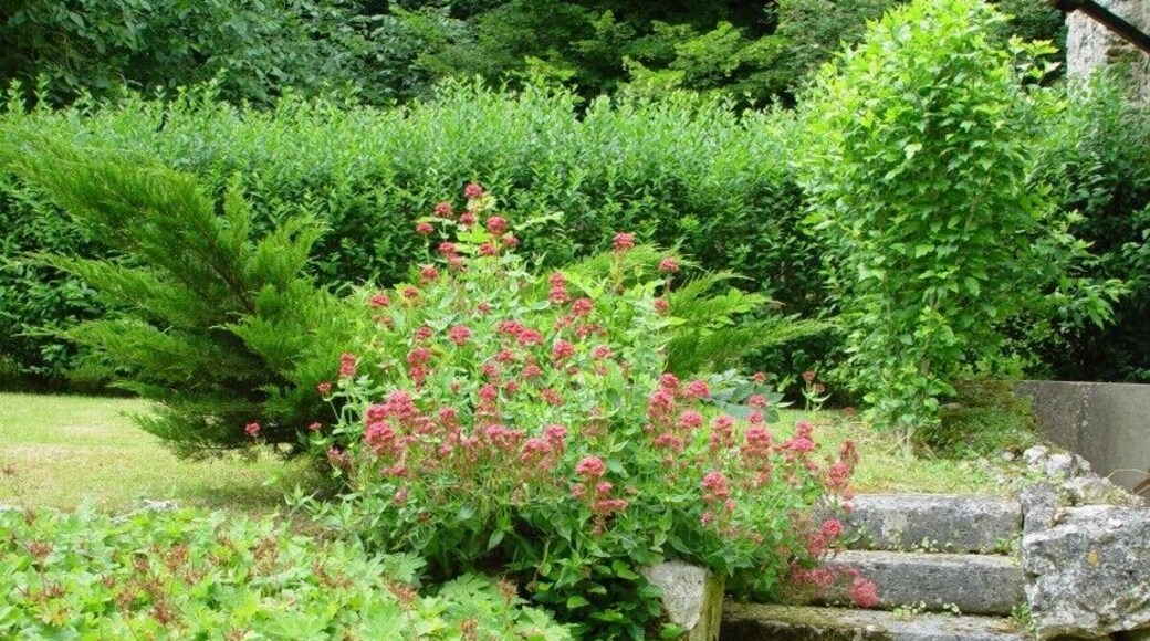 Garden Chateau de Jeufosse 14-6-2008