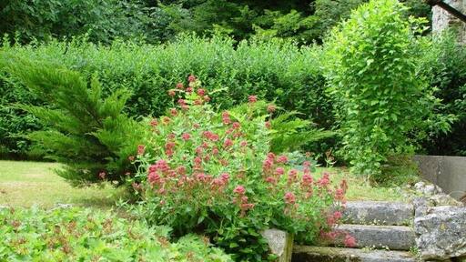 Garden Chateau de Jeufosse 14-6-2008