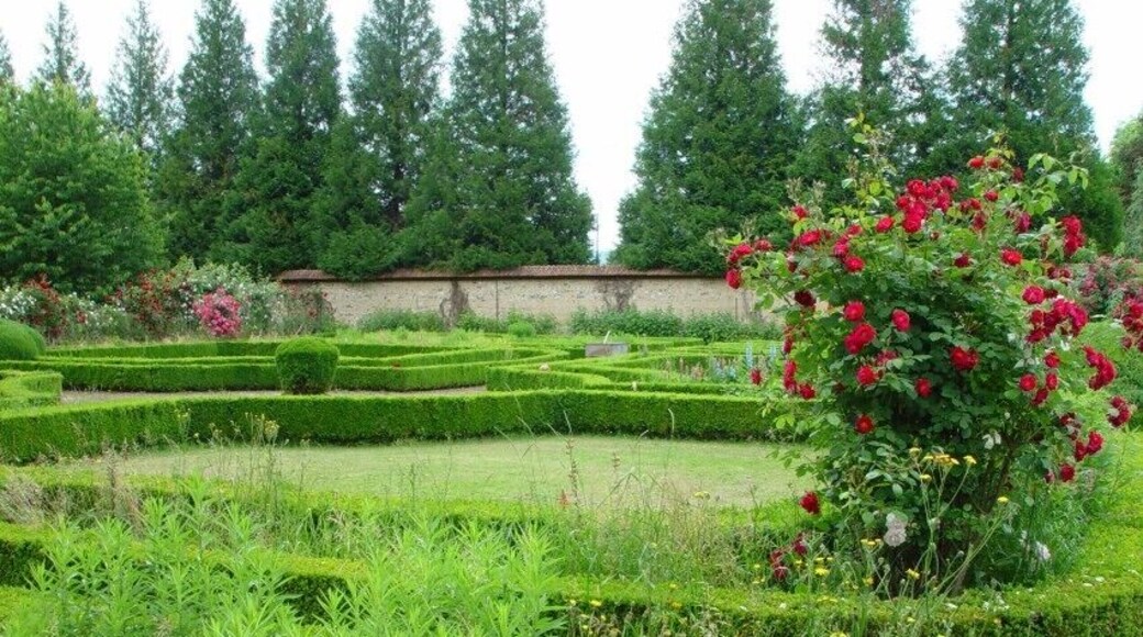 Garden Chateau de Jeufosse 14-6-2008