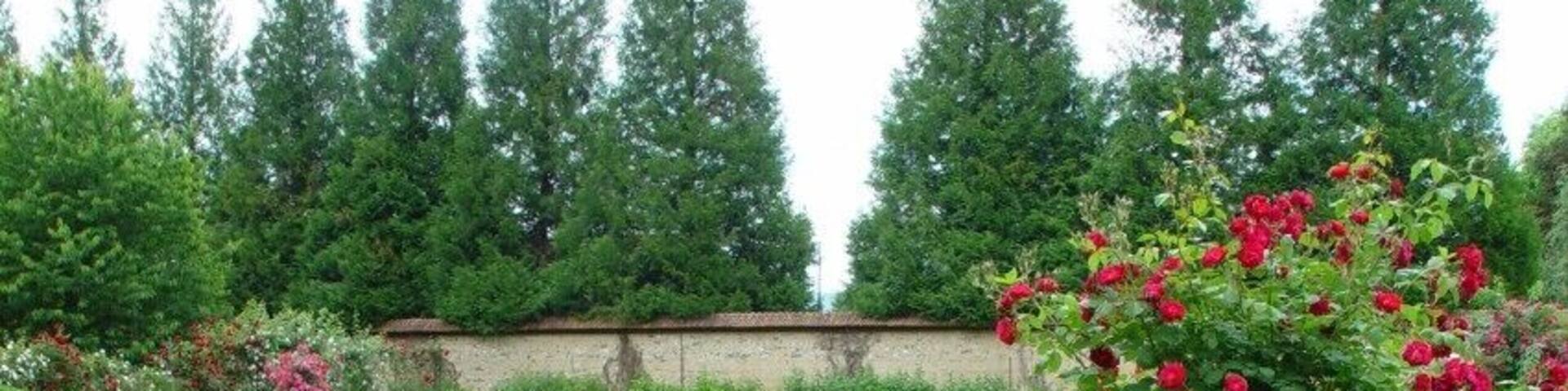 Garden Chateau de Jeufosse 14-6-2008