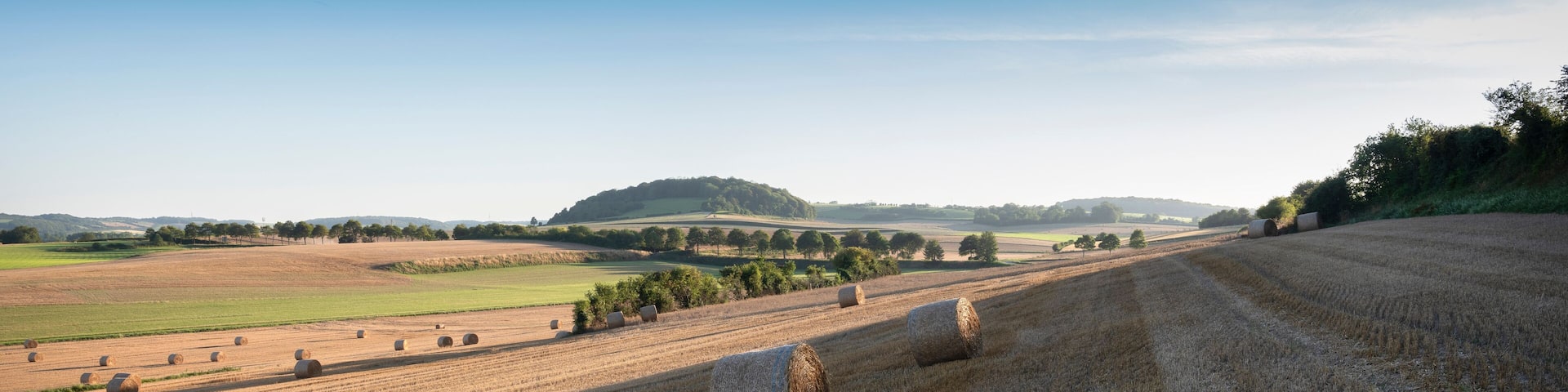 landscape with cornfields and meadows in regional parc de caps et marais d'opale in the north of france