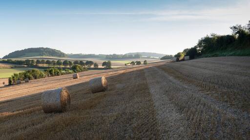 لو بوس دوتي