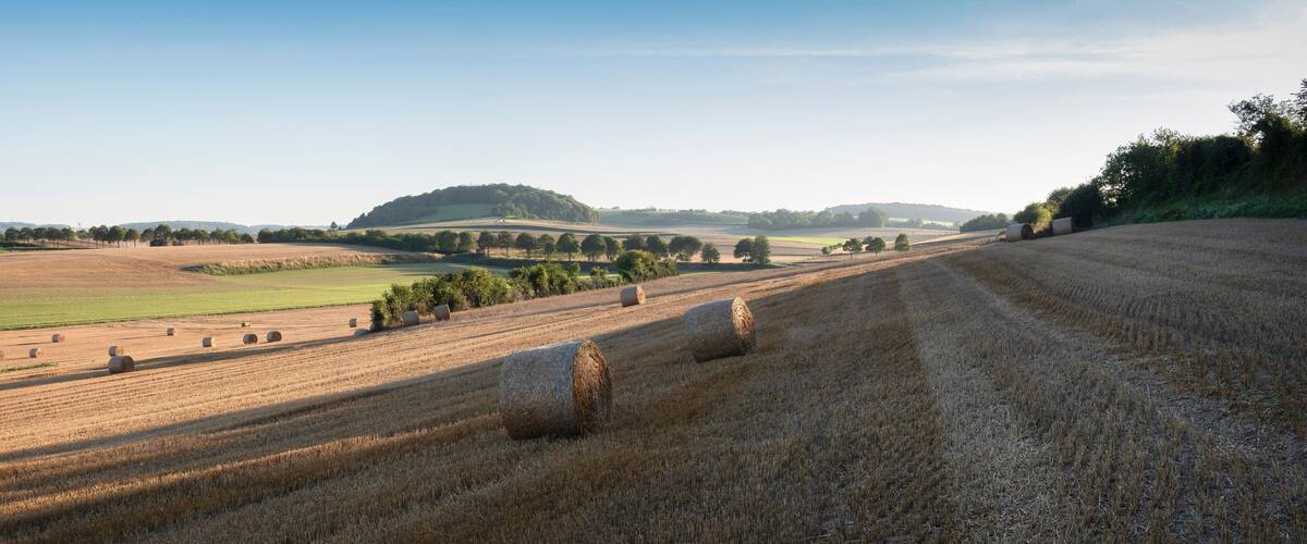 A rural landscape with fields, hay bales, and rolling hills.