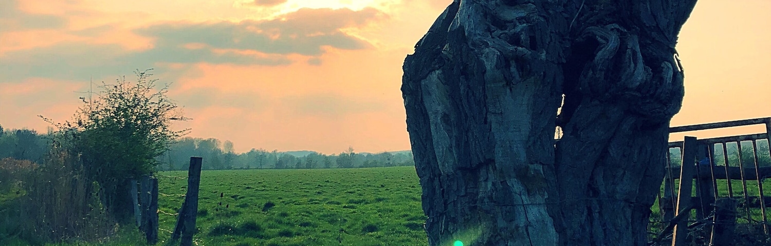 Chemins à côté de la voie verte et le long de l epte :)