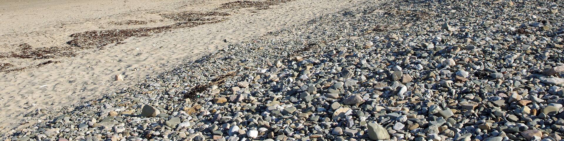 Baubigny (Manche) Cordon dunaire de Baubigny. Il ya environ 85 000 ans (Paléolithique), le niveau de la mer est supérieur au niveau actuel et vient battre une falaise. Ensuite, pendant la période glaciaire, la la mer se retire de plusieurs centaines de mètres et laisse sur place des sédiments. Lors du réchauffement Holocène, il y a 12 000 ans, la mer remonte en repoussant les sédiments déposés. Les sédiments poussés par le vent constitueront un cordon dunaire littoral avec un marais en arrière-littoral. Les sables poussés par les vents finiront par combler le marais et par surmonter la falaise. La côte semble se stabiliser il y a 1400 ans. Ensuite, ce sont les activités humaines qui modèleront le massif dunaire : pâtures, exploitation de végétaux comme l'oyat pour la litière, etc. L'utilisation excessive des dunes, conjointement à un climat plus froid, déstabiliseront les dunes vers les 17e - 18e siècles. En 1839, le capitaine de Cholet en donne une description : « Ces dunes changent de forme à l’époque des équinoxes et, presque toujours, une pluie de sable inonde le pays lorsque arrivent les brises d’automne ou de printemps. Les habitants ont sacrifié leur propre sécurité et se sont mis à couper le milgreu (l'oyat) pour faire des brosses et des balais ». Les premières routes sont construites au début du 20e siècle. Depuis 2002, le massif dunaire fait partie du Site d’Intérêt Communautaire Natura 2000. Source DREAL Basse-Normandie / SRMP / DSP 10 boulevard du général Vanier - Caen.