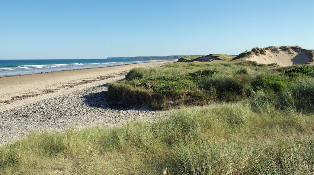 Baubigny (Manche) Cordon dunaire de Baubigny. Il ya environ 85 000 ans (Paléolithique), le niveau de la mer est supérieur au niveau actuel et vient battre une falaise. Ensuite, pendant la période glaciaire, la la mer se retire de plusieurs centaines de mètres et laisse sur place des sédiments. Lors du réchauffement Holocène, il y a 12 000 ans, la mer remonte en repoussant les sédiments déposés. Les sédiments poussés par le vent constitueront un cordon dunaire littoral avec un marais en arrière-littoral. Les sables poussés par les vents finiront par combler le marais et par surmonter la falaise. La côte semble se stabiliser il y a 1400 ans. Ensuite, ce sont les activités humaines qui modèleront le massif dunaire : pâtures, exploitation de végétaux comme l'oyat pour la litière, etc. L'utilisation excessive des dunes, conjointement à un climat plus froid, déstabiliseront les dunes vers les 17e - 18e siècles. En 1839, le capitaine de Cholet en donne une description : « Ces dunes changent de forme à l’époque des équinoxes et, presque toujours, une pluie de sable inonde le pays lorsque arrivent les brises d’automne ou de printemps. Les habitants ont sacrifié leur propre sécurité et se sont mis à couper le milgreu (l'oyat) pour faire des brosses et des balais ». Les premières routes sont construites au début du 20e siècle. Depuis 2002, le massif dunaire fait partie du Site d’Intérêt Communautaire Natura 2000. Source DREAL Basse-Normandie / SRMP / DSP 10 boulevard du général Vanier - Caen.