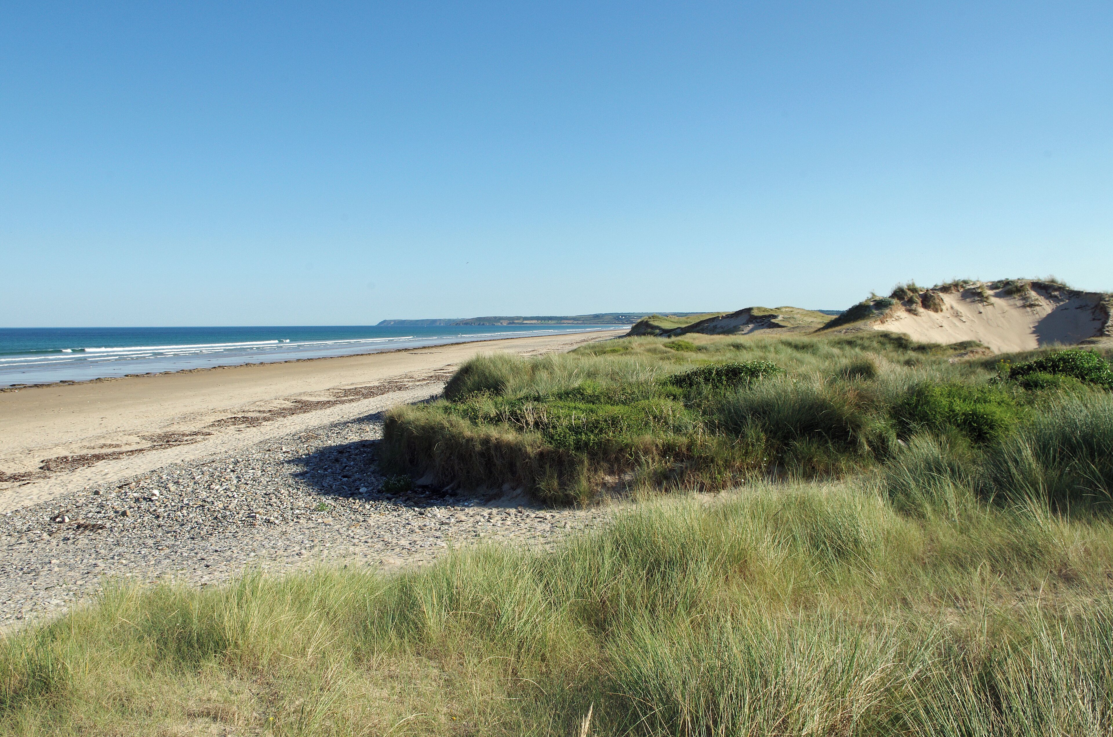 A beach with sand dunes and grassy areas.