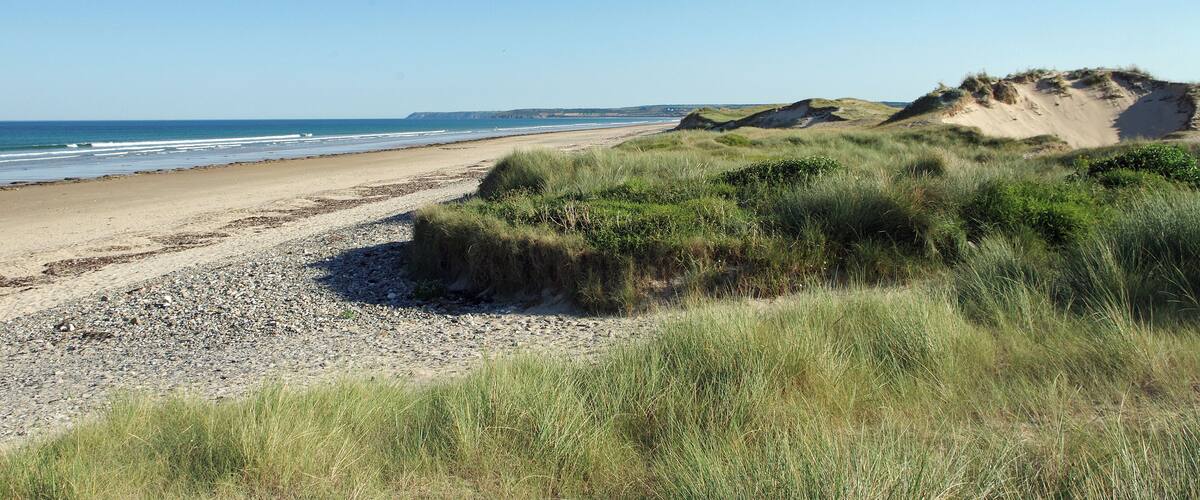 A beach with sand dunes and grassy areas.