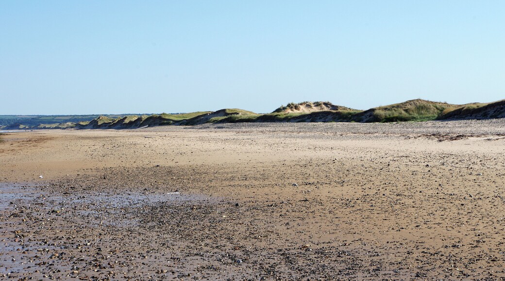 Baubigny (Manche) Cordon dunaire de Baubigny. Il ya environ 85 000 ans (Paléolithique), le niveau de la mer est supérieur au niveau actuel et vient battre une falaise. Ensuite, pendant la période glaciaire, la la mer se retire de plusieurs centaines de mètres et laisse sur place des sédiments. Lors du réchauffement Holocène, il y a 12 000 ans, la mer remonte en repoussant les sédiments déposés. Les sédiments poussés par le vent constitueront un cordon dunaire littoral avec un marais en arrière-littoral. Les sables poussés par les vents finiront par combler le marais et par surmonter la falaise. La côte semble se stabiliser il y a 1400 ans. Ensuite, ce sont les activités humaines qui modèleront le massif dunaire : pâtures, exploitation de végétaux comme l'oyat pour la litière, etc. L'utilisation excessive des dunes, conjointement à un climat plus froid, déstabiliseront les dunes vers les 17e - 18e siècles. En 1839, le capitaine de Cholet en donne une description : « Ces dunes changent de forme à l’époque des équinoxes et, presque toujours, une pluie de sable inonde le pays lorsque arrivent les brises d’automne ou de printemps. Les habitants ont sacrifié leur propre sécurité et se sont mis à couper le milgreu (l'oyat) pour faire des brosses et des balais ». Les premières routes sont construites au début du 20e siècle. Depuis 2002, le massif dunaire fait partie du Site d’Intérêt Communautaire Natura 2000. Source DREAL Basse-Normandie / SRMP / DSP 10 boulevard du général Vanier - Caen.
