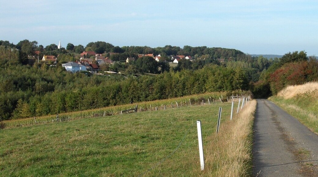 Mentque Nortbรฉcourt