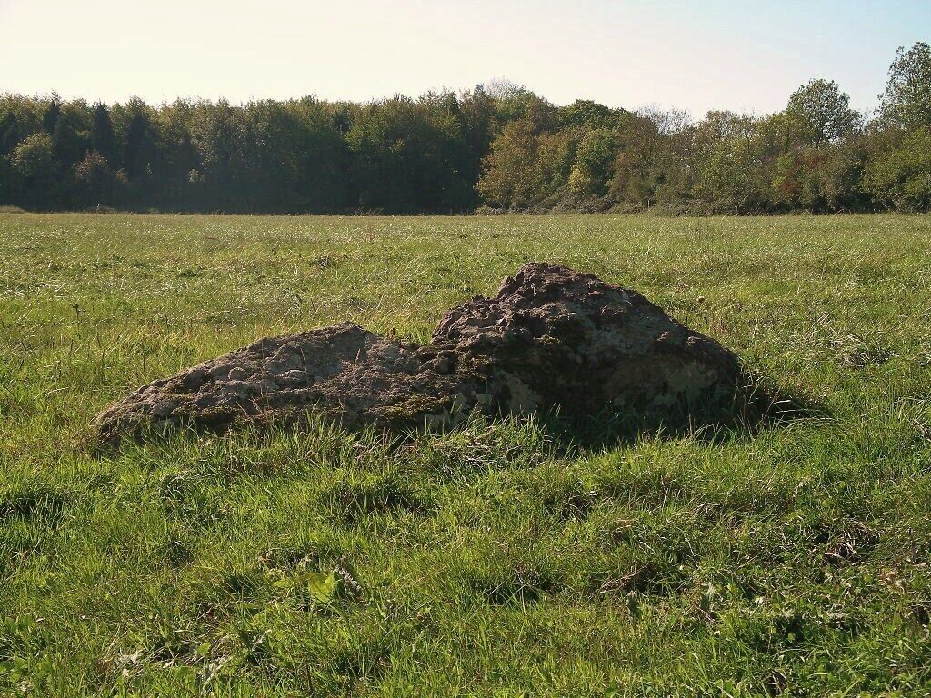 A large rock formation in a grassy field with trees in the background.