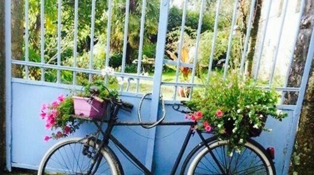 The best way to travel in France ... all though this bike hadn't traveled in a while