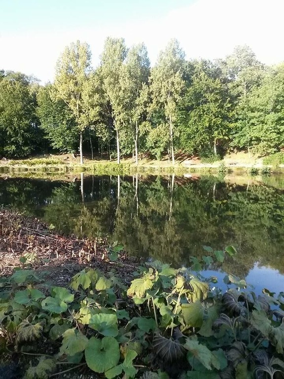 What a lovely peaceful nature park this is , a true gem