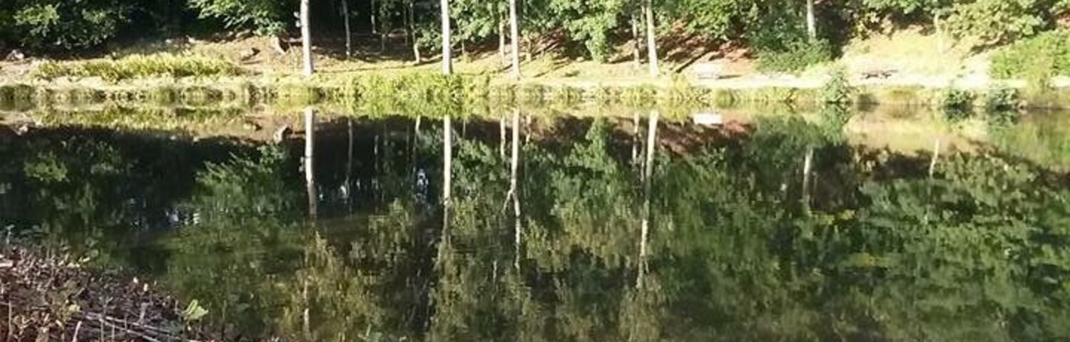 What a lovely peaceful nature park this is , a true gem