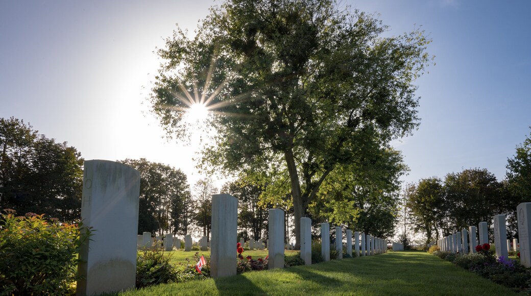 Star effect in the backlit sun hiding behind the branches of a tree at the Canadian War Cemetery in Bény-sur-Mer.