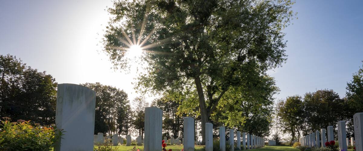 Star effect in the backlit sun hiding behind the branches of a tree at the Canadian War Cemetery in Bény-sur-Mer.