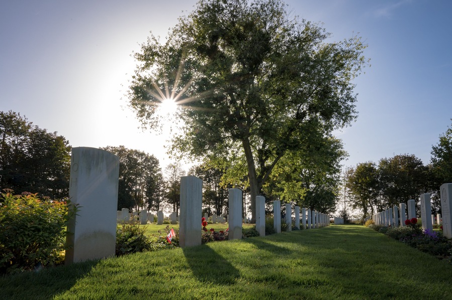Star effect in the backlit sun hiding behind the branches of a tree at the Canadian War Cemetery in Bény-sur-Mer.