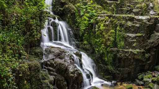 Vue en longue exposition sur la Petite Cascade de Mortain par un jour de printemps