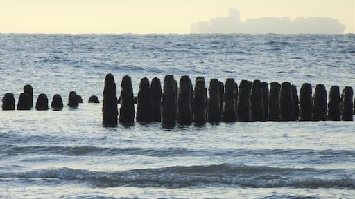 Bouchot mussel poles at low tide.
(The photo was taken just before sunset, hence the blurred background.) #OpalCoast