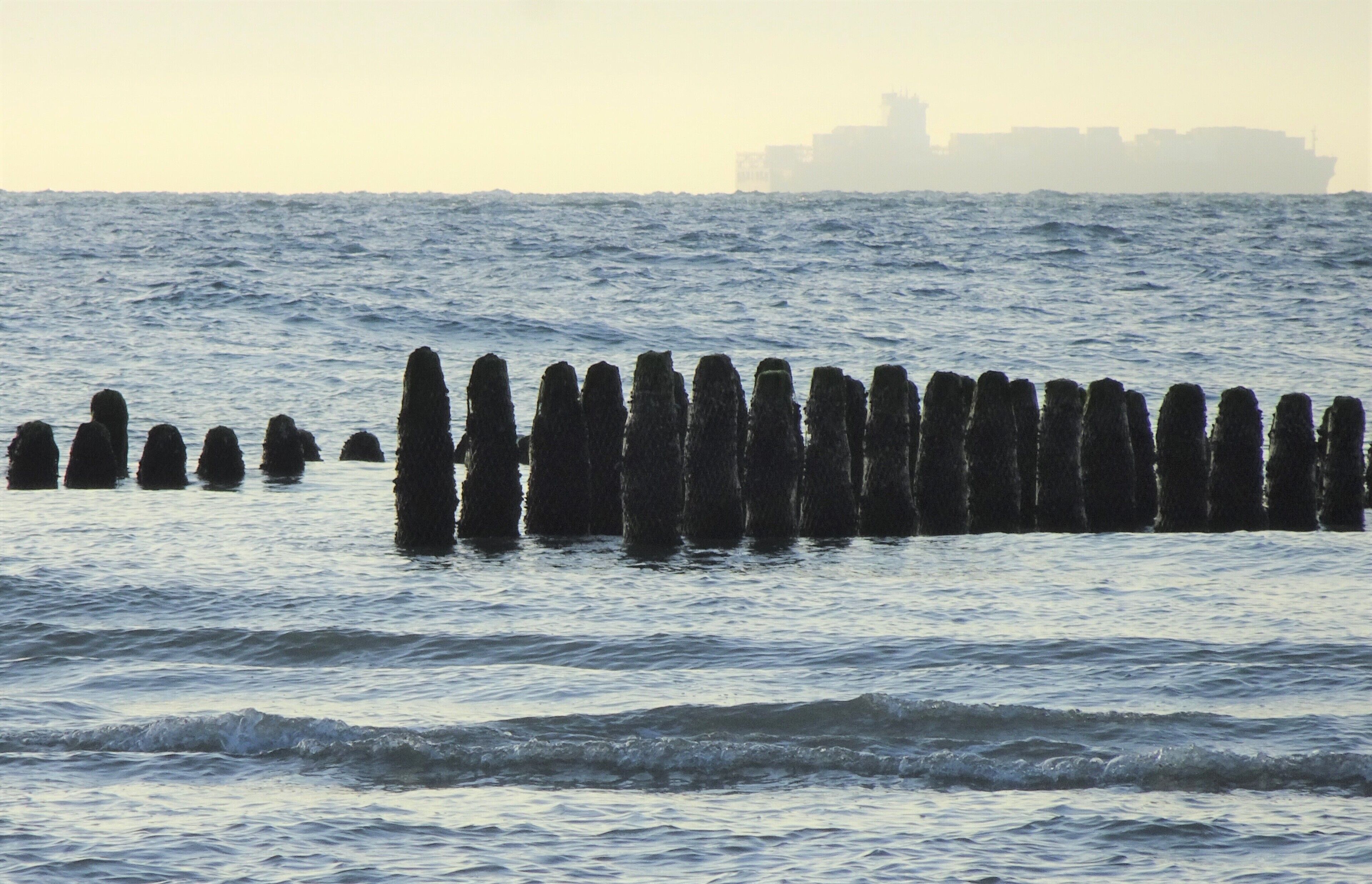 A coastal scene with a series of vertical wooden posts in the water and a distant city skyline.