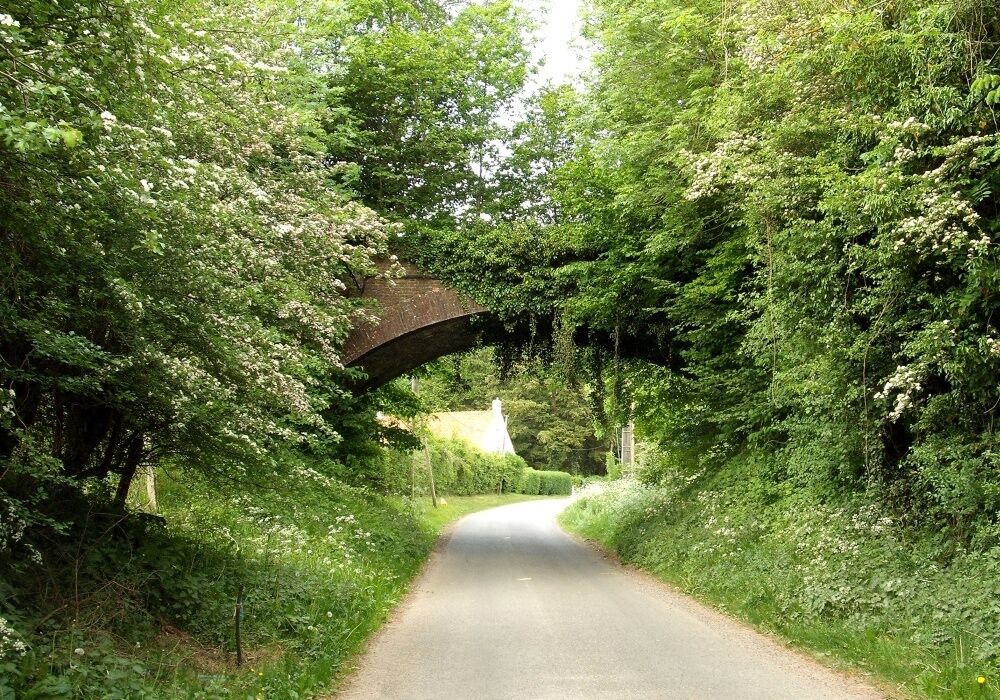 A narrow country road under a stone bridge, surrounded by lush greenery and white flowering trees.
