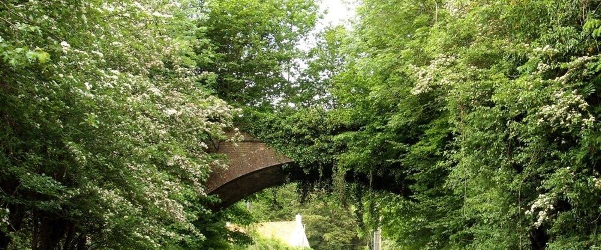 A narrow country road under a stone bridge, surrounded by lush greenery and white flowering trees.